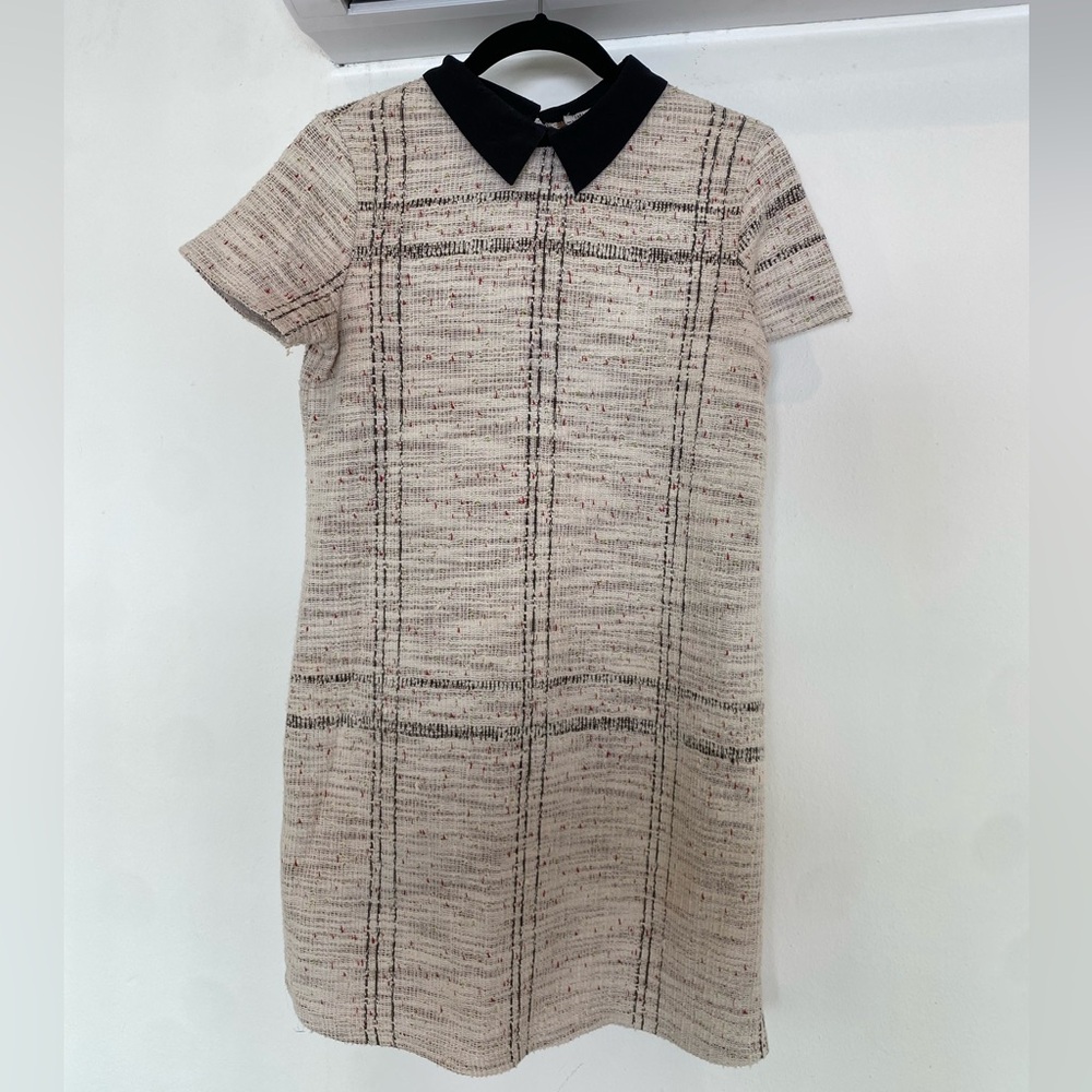 Zara Cream Tweed Short Sleeve Mini Shift Dress with Black Collar Size Small